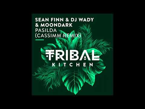 Sean Finn, DJ Wady & MoonDark - Pasilda (CASSIMM Remix)