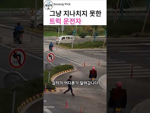 트럭 기사가 도로 한복판에 차를 세운 이유