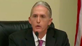 Trey Gowdy Dumbfounded by New Orleans Immigration Policies