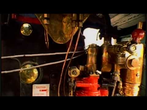 India: Running out of Steam (part 2) - The Black Beauty Contest