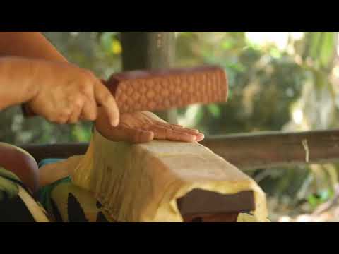 Hawaiian Tapa Patterns