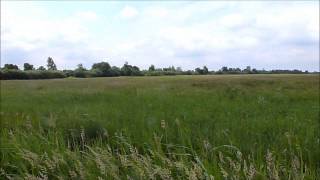preview picture of video 'Wicken Fen, near Ely'