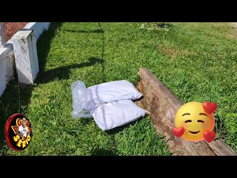 LOUCURAS DE AMOR DEIXA PARA TRÁS TRAVESSEIROS NO CAMPÃO DE JUQUITIBA.