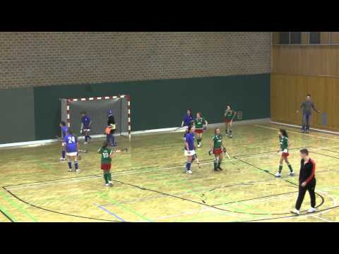 U16w PostSV/WAC - HC Traun 18:0 (22.12.2012)