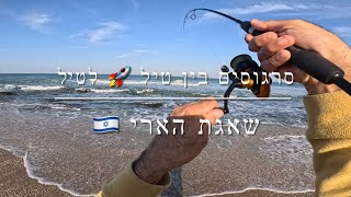 דיג - סרגוסים בזמן מלחמה | שאגת הארי 2026.