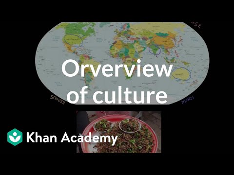 Overview of culture (video) | Culture | Khan Academy