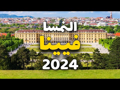 الفيديو