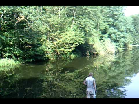 excursie la DOGNECEA