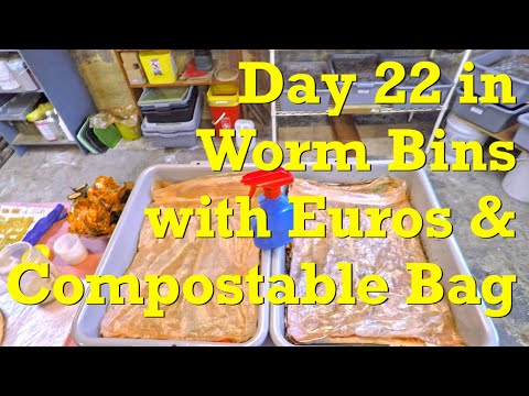 22-day European nightcrawler systems with compostable bag - vermicompost
