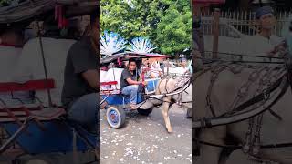 Download lagu naik kuda delman #shorts mp3