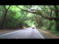 Bohicket Road