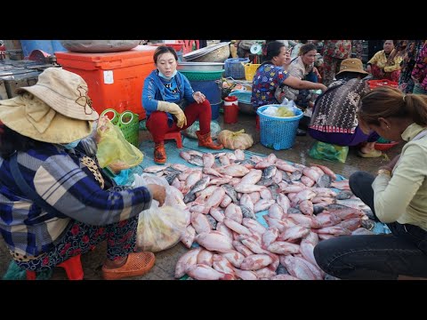 Morning Fish Market Scene @Chhbar Ampov - The Second Site Distribute Fish, Dry Fish, SeaFood & More