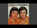 Noite Maravilhosa