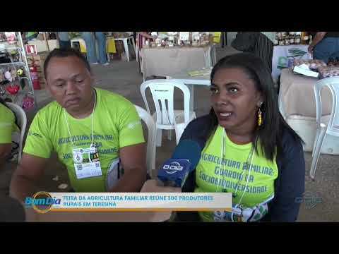 O Dia TV