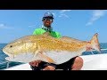 Found Over 10 000 MASSIVE Redfish