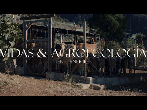 VIDAS Y AGROECOLOGÍA EN TENERIFE
