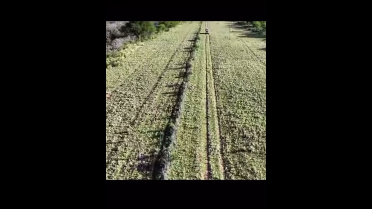 Encontraron a una niña de 3 años con un dron