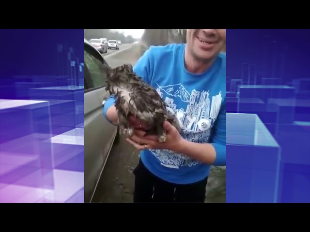 «Неместное время» за 25 апреля