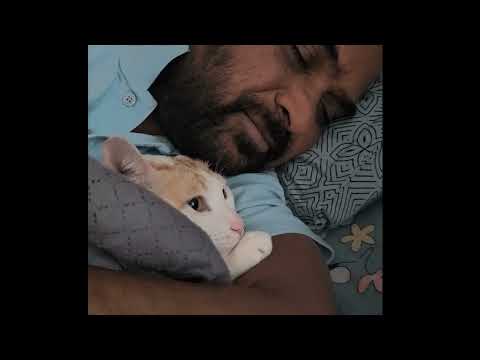 Krish sleeping with Dad #love #funny #cat #krish #pets #trending 