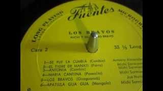 LOS BRAVOS : MICHI SARMIENTO