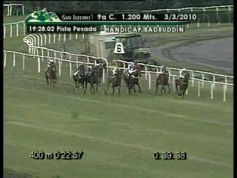 Maracuja Handicap Badruddin 2010 Hipódromo San Isidro