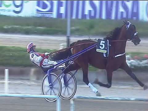 Trotto 07/04/2019 - 8ª corsa