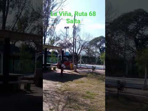 La Viña - Salta