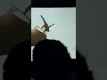 Shahrukh Khan Cameo In Tiger3 Tiger3