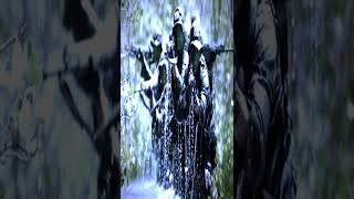 Download lagu Story' wa TNI🔥 Siap perang☠️ mp3