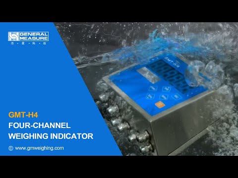  GMT-H4: Rugged & Reliable IP65 Weighing Indicator for Harsh Environments