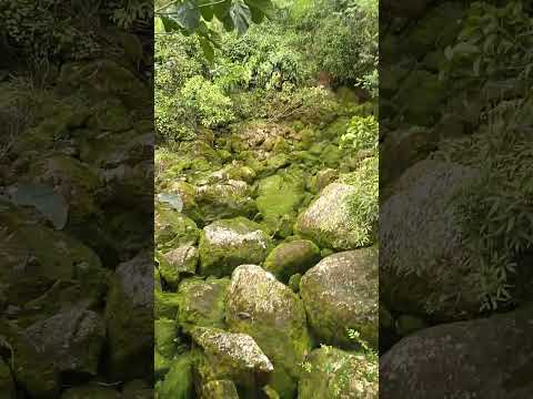 Río bajo las piedras en villarrica tolima