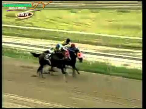 LA RINCONADA 7 CARRERA SABADO 23 D EAGOSTO DEL 2014