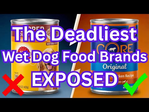 9 Wet Dog Food Brands to AVOID At All COSTS! (And 2 that are SAFE)