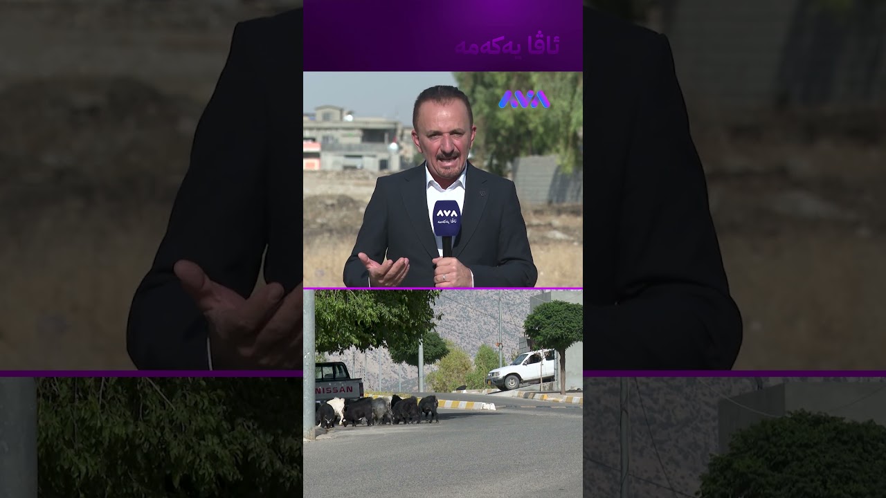 ڤیدیۆ | تەقە لە 20 مانگا دەکرێ بەهۆی کێشەی کۆمەڵایەتییەوە