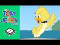 The Talent Show Contest Tom Jerry Boomerang UK