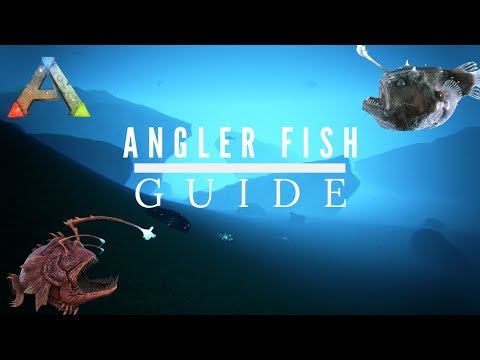 ARK  SURVIVAL EVOLVED - ANGLER FISH