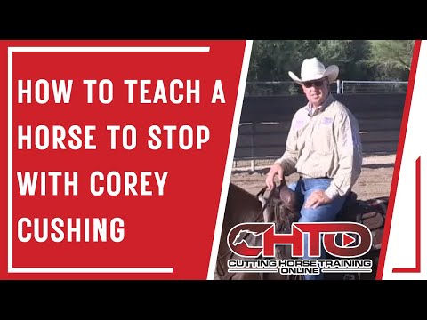 How To Teach A Horse To Stop with Corey Cushing