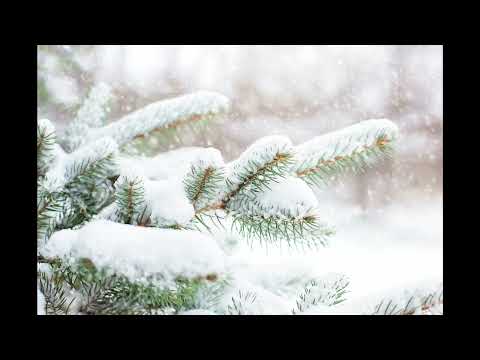 "Nüüd jõuluaeg on käes" - Teneliis Vahtras ja Johannes Lige