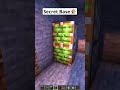 Minecraft Secret Base Shorts
