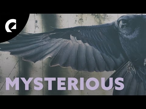 August Wilhelmsson - Endless Possibilities (Royalty Free Music)