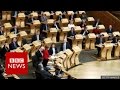 Scottish Parliament backs referendum call - BBC News