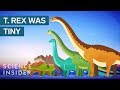 The Biggest Dinosaurs Of All Time