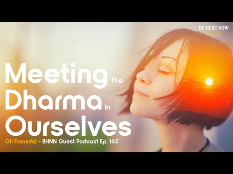 Meeting the Dharma in Ourselves with Gil Fronsdal - BHNN Guest Podcast Ep. 165