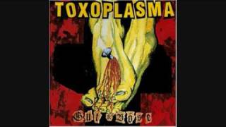 Toxoplasma - Platz an der Sonne