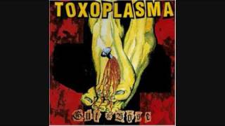 Toxoplasma - Platz an der Sonne