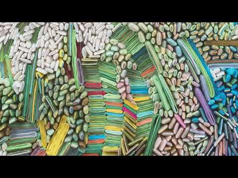 ILHWA KIM  'SEED SYSTEM' AT HOFA LONDON