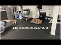 A day in the life of Lulu & Tuktuk! #dog #puppy #americanbully #staffy #funnydog #pup #dogs #gym