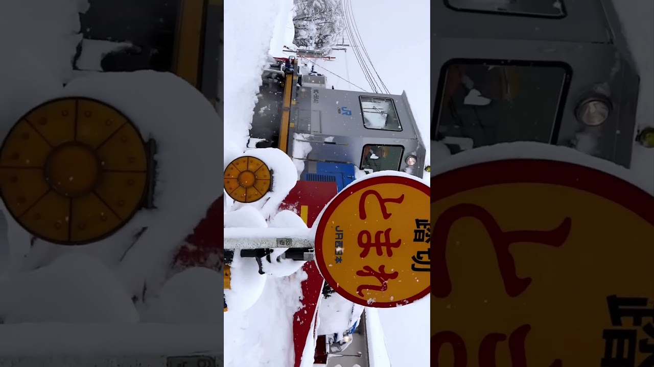 大雪警報発令中