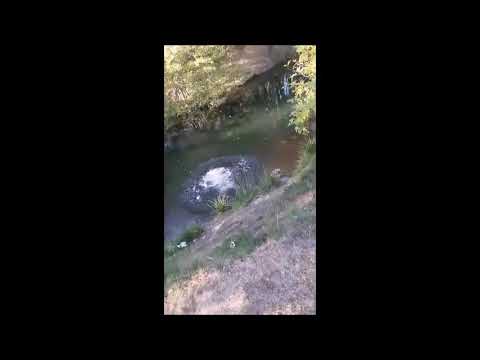 REMIX STORIE SNAP FT P.WILLOU (By eddy.off)