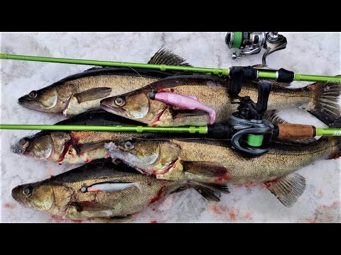 KOSKEN ALAPUOLELTA KUHHOO | LIVELUOTAIN + VIISTO APUNA KALASTUKSESSA!